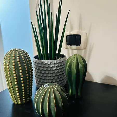 Sun House Apartment